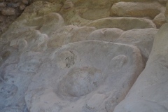 El Tigre - Itzamkanac  - Campeche