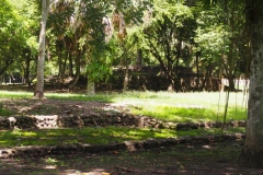 El Tigre - Itzamkanac  - Campeche