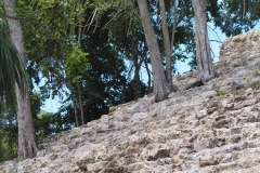 El Tigre - Itzamkanac  - Campeche