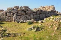 Ggantija Temples - Ix-Xaghra - Gozo