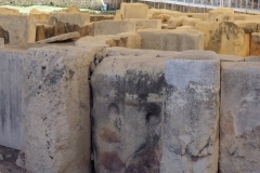 Hal Tarxien Megalithic site, Malta