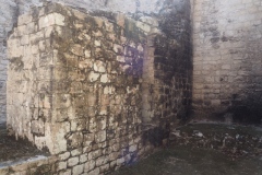 Hormiguero - Campeche