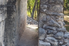 Hormiguero - Campeche