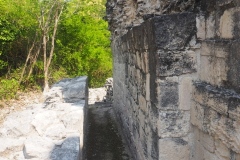 Hormiguero - Campeche