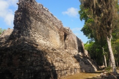 Hormiguero - Campeche