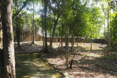 Hormiguero - Campeche