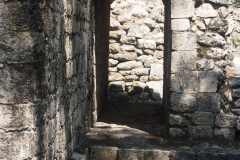 Hormiguero - Campeche