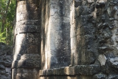 Hormiguero - Campeche