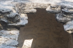 Hormiguero - Campeche