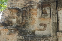 Hormiguero - Campeche