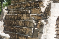 Hormiguero - Campeche