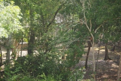 Hormiguero - Campeche