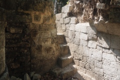 Hormiguero - Campeche