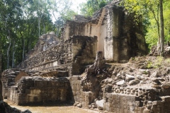 Hormiguero - Campeche