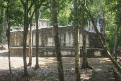 Hormiguero - Campeche