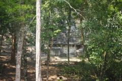 Hormiguero - Campeche