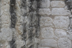 Hormiguero - Campeche