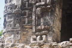 Hormiguero - Campeche