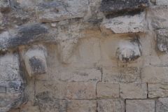 Hormiguero - Campeche