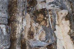 Hormiguero - Campeche