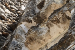 Hormiguero - Campeche