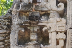 Hormiguero - Campeche