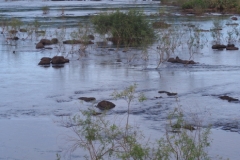 Iguazu Falls - from Argentina