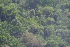 Iguazu Falls - from Argentina