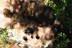 Iguazu Falls - from Argentina