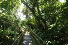 Iguazu Falls - from Argentina