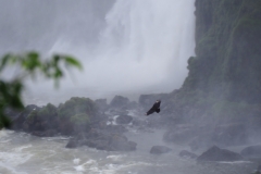 Iguazu Falls - from Brazil