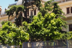 Teachers' union meeting and general demonstration in La Plata Monday 3rd December 2018