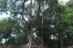 Lubaantun – Belize