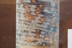 Lubaantun – Belize