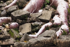 Lubaantun – Belize