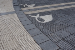 Madres de la Plaza de Mayo