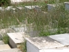 Korçë Martyrs' Cemetery