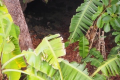 Mayapan - Yucatan