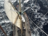 View from main mast, mid Atlantic