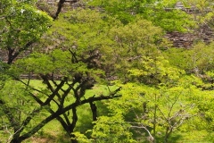 Mixco Viejo - Guatemala