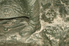 Skulls of the murdered