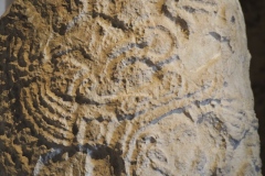 Museum of Mayan Architecture - Campeche