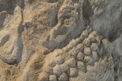 Museum of Mayan Architecture - Campeche