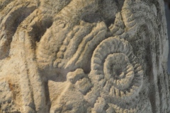 Museum of Mayan Architecture - Campeche