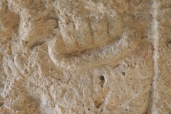 Museum of Mayan Architecture - Campeche