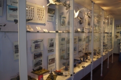 Museum of the Malvinas War - Rio Gallegos