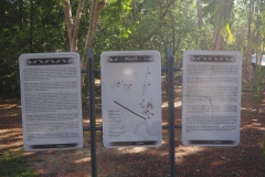 Muyil - Quintana Roo