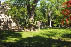 Muyil - Quintana Roo