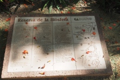 Muyil - Quintana Roo