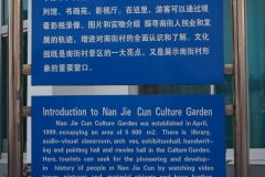 Nanjiecun Village, Linying County, Henan Province